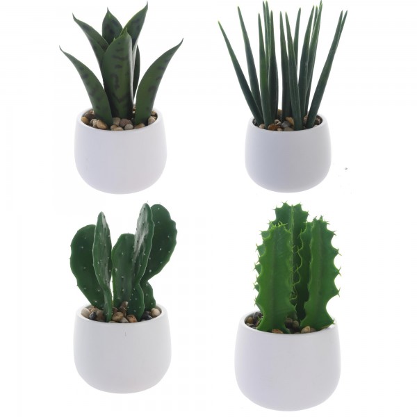 Planta Decorativa C/ Pote.