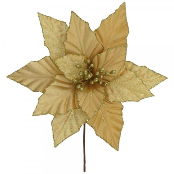 Flor Poinsettia Golden II