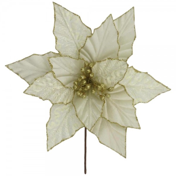 Flor Poinsettia White