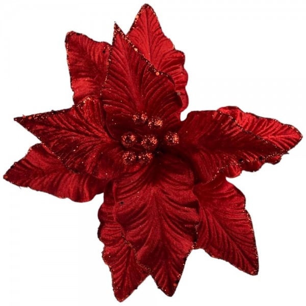 Flor Poinsettia Red